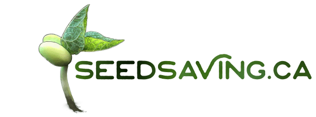 Seedsaving.ca – Learn how to save seeds, and garden using no dig practices